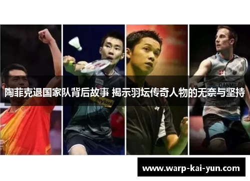 陶菲克退国家队背后故事 揭示羽坛传奇人物的无奈与坚持
